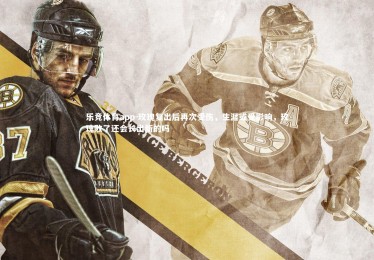 乐竞体育app-玫瑰复出后再次受伤，生涯或受影响，玫瑰败了还会长出新的吗