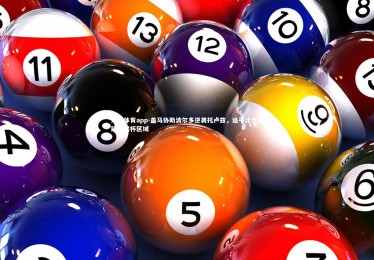 乐竞体育app-盖马协助波尔多逆袭托卢兹，追平比分登陆欧联杯区域